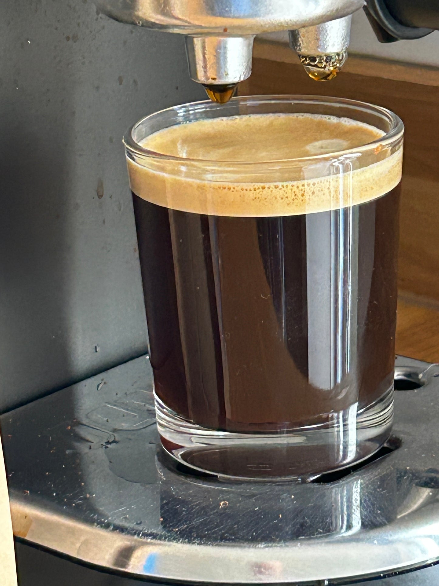 The Newquay Bay Blend Coffee Beans