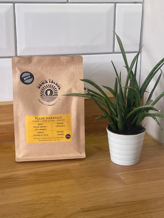 Playa Naranjo Costa Rican Coffee Beans