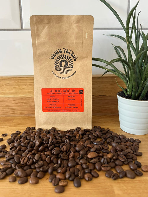70g Ujung Bocur Sumatran Coffee Beans Sample Bag