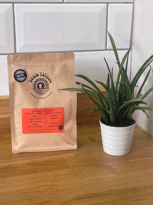 Ujung Bocur Sumatran Mandheling Coffee Beans