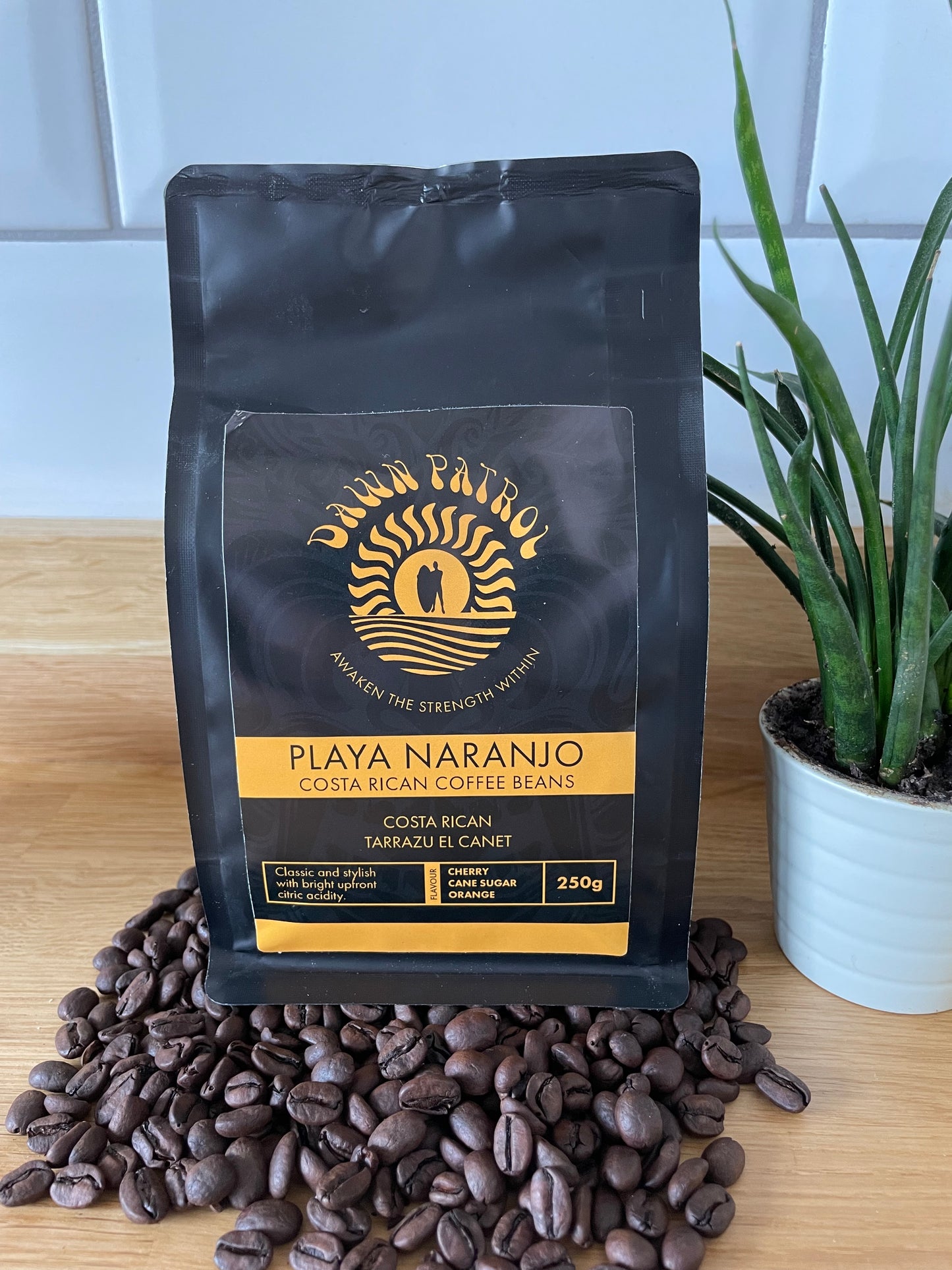 Playa Naranjo Costa Rican Coffee Beans