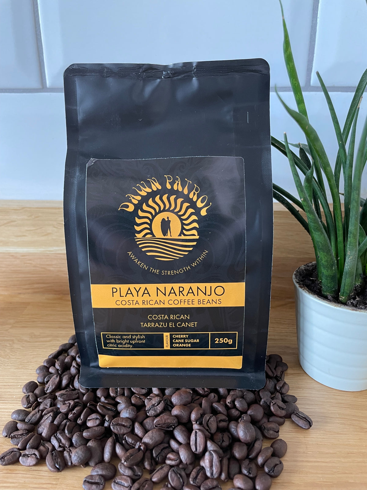 Dawn Patrol Coffee and Mug Bundle