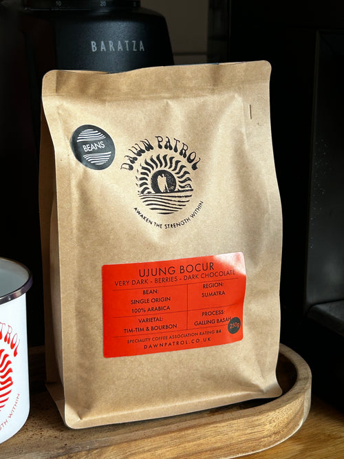 Ujung Bocur Sumatran Mandheling Coffee Beans