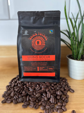 Ujung Bocur Sumatran Mandheling Coffee Beans