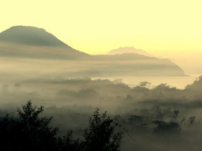 Itamambuca Brazilian Coffee Beans