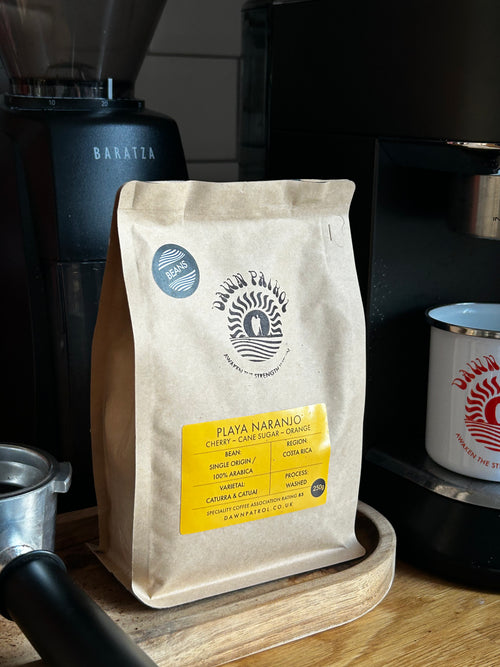 Playa Naranjo Costa Rican Coffee Beans