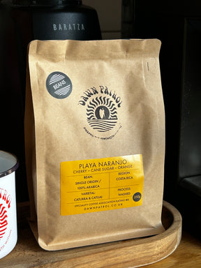 Playa Naranjo Costa Rican Coffee Beans